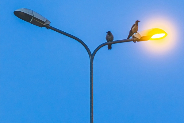 How to Maintain Lamp Poles?